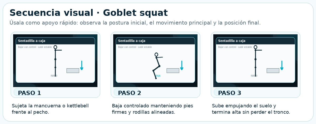 Secuencia visual de Goblet squat