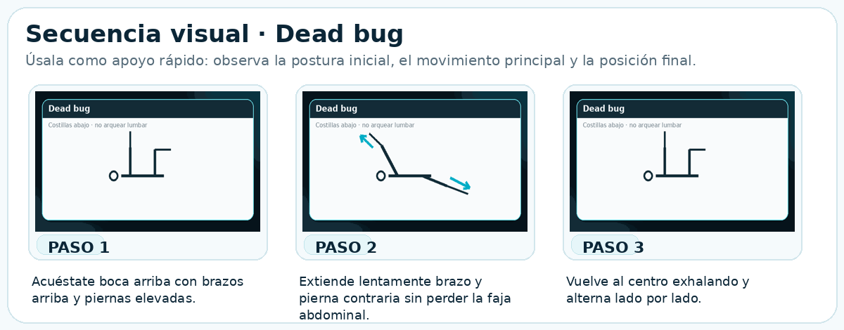 Secuencia visual de Dead bug
