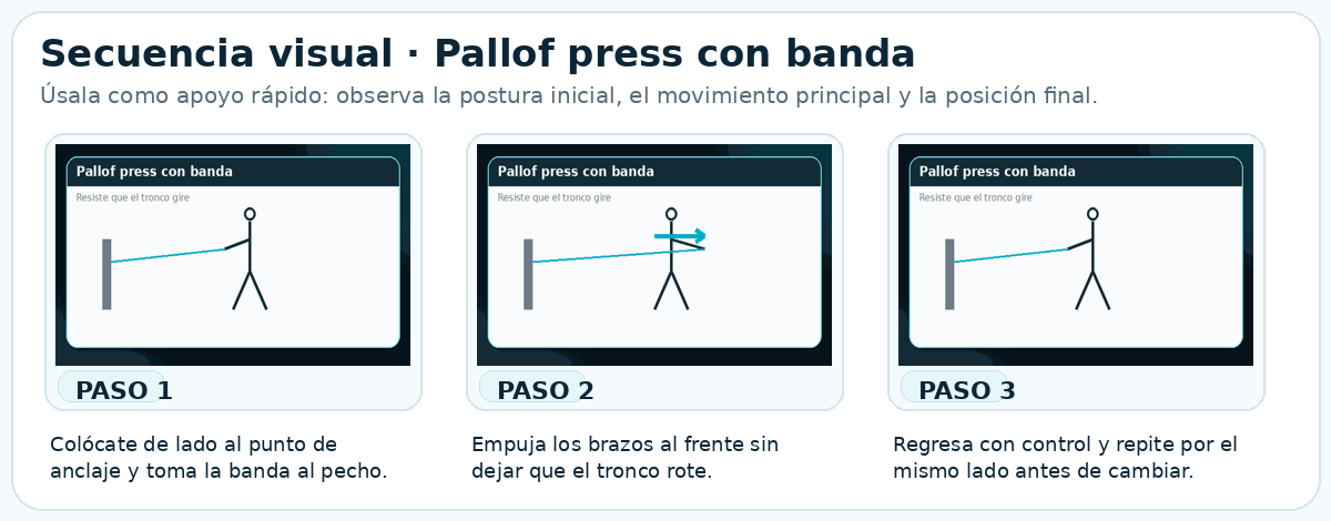 Secuencia visual de Pallof press con banda