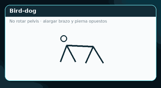 Demostración rápida de Bird-dog
