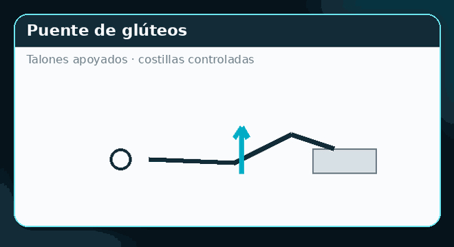Demostración rápida de Puente de glúteos